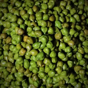 Green Chickpeas (Soaked)  हिरवे चणे