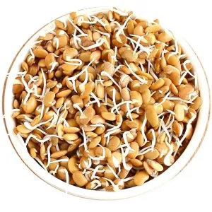 Horse gram (Sprouted) कुळीथ (कुलथी)