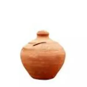 soil big piggy bank 