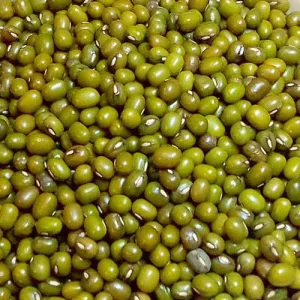 Shree Green Moong Dhall 250g