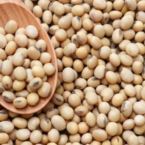 Soyabean Dal