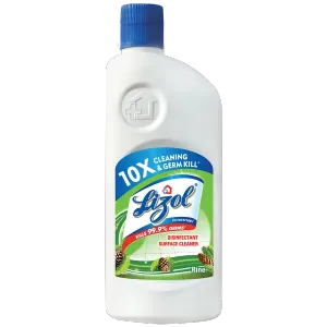 Lizol 500ml