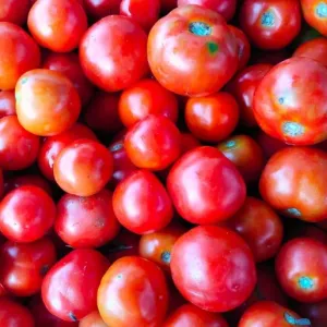 Tomato 500g [FF]