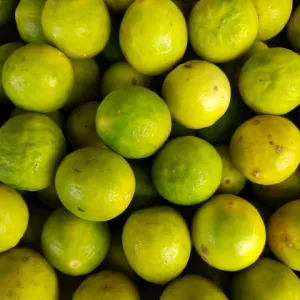 Lemon [FF]