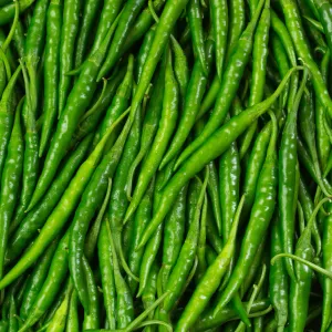 Green chilli [FF]