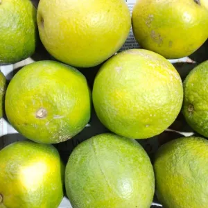 சாத்துக்குடி /Sweet lime