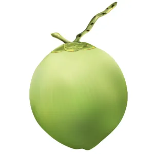 Tender Coconut 
