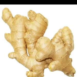 अदरख (Ginger)