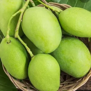 केरी  ( KACHA MANGO) 