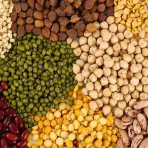 Pulses and gains(दाल और अनाज)