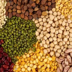 DAL (PULSES)