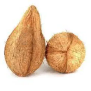 Coconut 1 pc