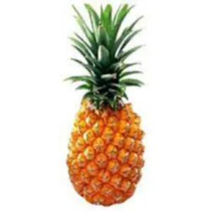 Pineapple/Annanas 1 pc 800g-1kg