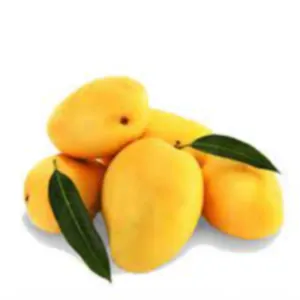 Mango Alphonso/ Ratnagiri hapus 6pcs