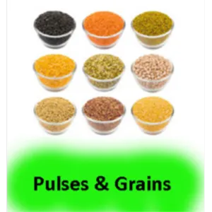 Pulses & Grains