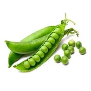 मटर (Green Peas)