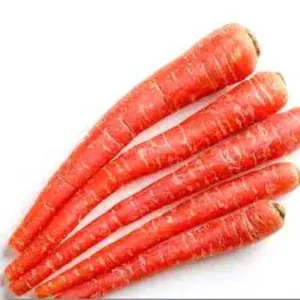 लाल गाजर (Red Carrot)