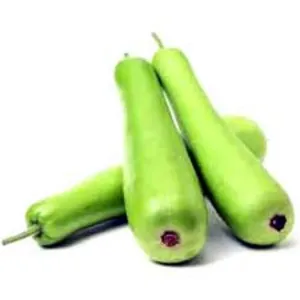 लोकी (Bottlegourd)