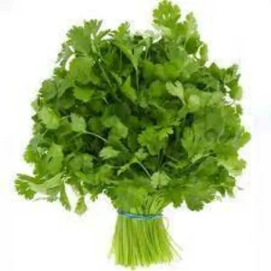हरा धनिया (Green Coriander)