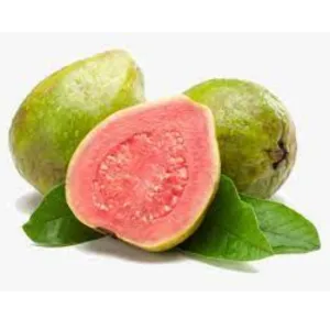 अमरूद (Guava)