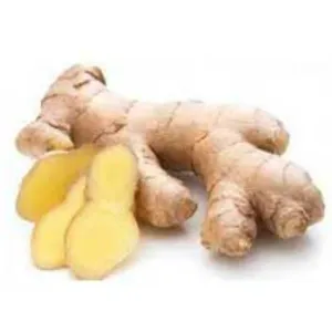 अदरक (Ginger)