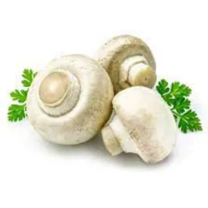मशरूम (Mushroom)