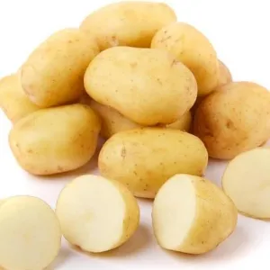 Potato