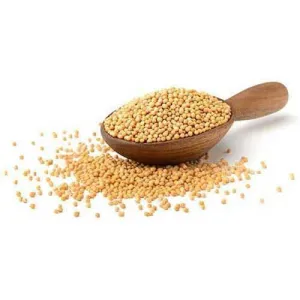 Mustered Seed (সরিষা)