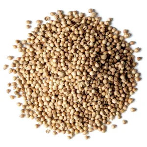 Dhania/Coriander 