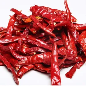 Chilli 