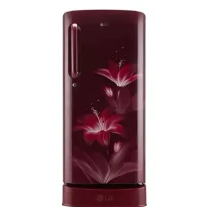 LG refrigerator D 201 ARGZ