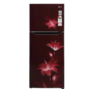 LG DD refrigerator N292 DSPY