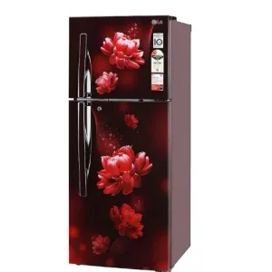 LG DD refrigerator S292 RSCY