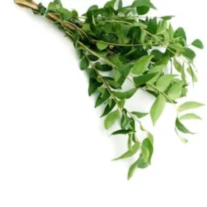 Curry Leaves 100gm