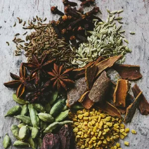 SPICE
