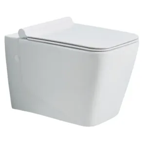 CERA Wall Hung EWCS