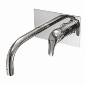 KNA-3118 Korina single concealed stop cock with basin spout