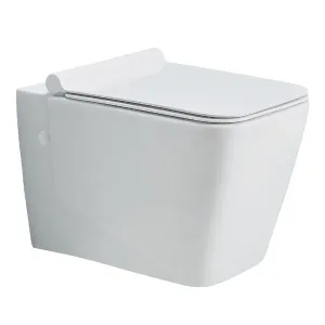 Cera-Cutina wall hung-S2020106