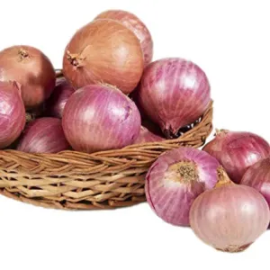 Onion 