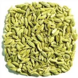Fennel / Mouri