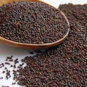 Mustard seeds ఆవాలు 250g