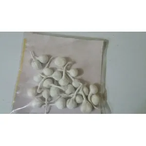 Jyoti puja deep bati  Rs 10 pack of 12 