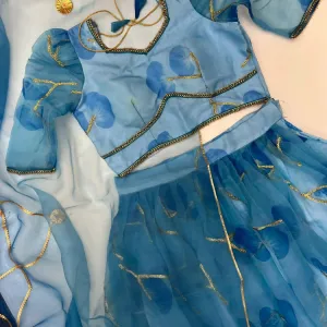 Printed Organza Lehenga