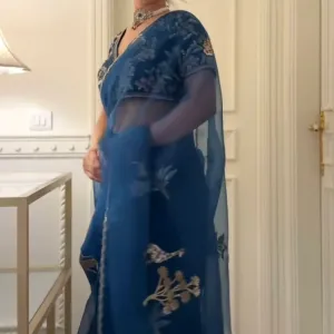 Designer Organza Sarees 