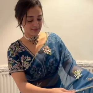 Designer Organza Sarees 