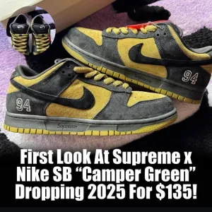 Nike SB Dunk Supreme Shoes 