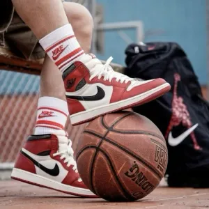 Nike Air Jordan Shoes