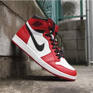 Nike Air Jordan Shoes 