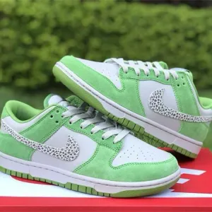 Nike SB Dunk Shoes
