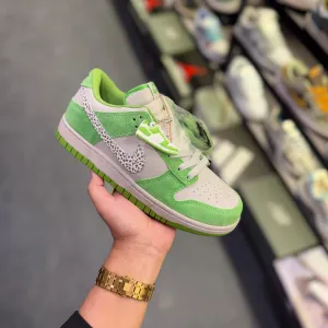 Nike SB Dunk Shoes